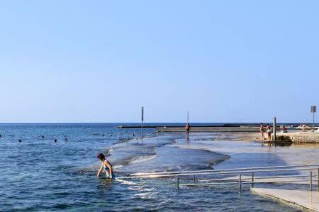 Murin Delfin Umag Luaran gambar